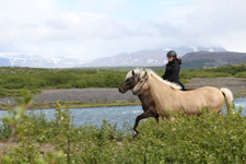 Iceland-West-Hot Springs, Lava Fields & Trails